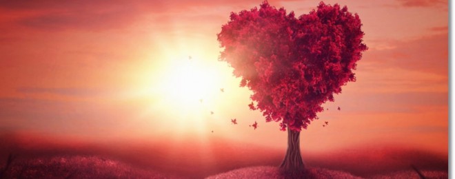 Heart love tree