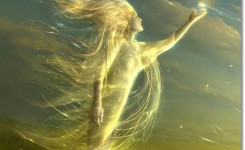 a-whisper-in-the-wind-L-LxgkC1