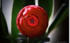 IMG_3357