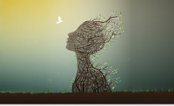 shutterstock_352014314-[更新済み]