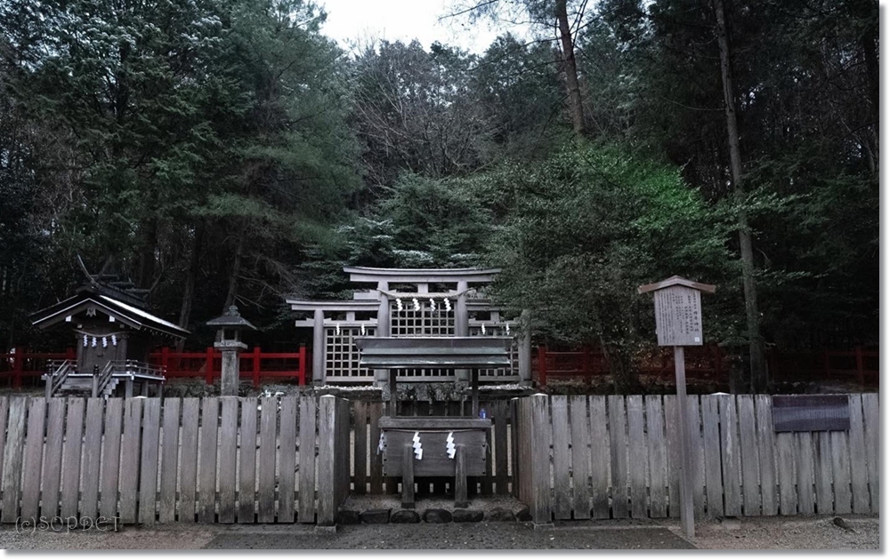 DE4AF74E-FDA5-43E0-8D0D-1AB0B3C53C1D