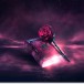 Fantasy,Magic,Dark,Red,Background,,Night,Landscape,,Red,Rose,And
